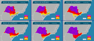 Alerta para risco de incêndios em São Paulo devido a ventos fortes e veranico