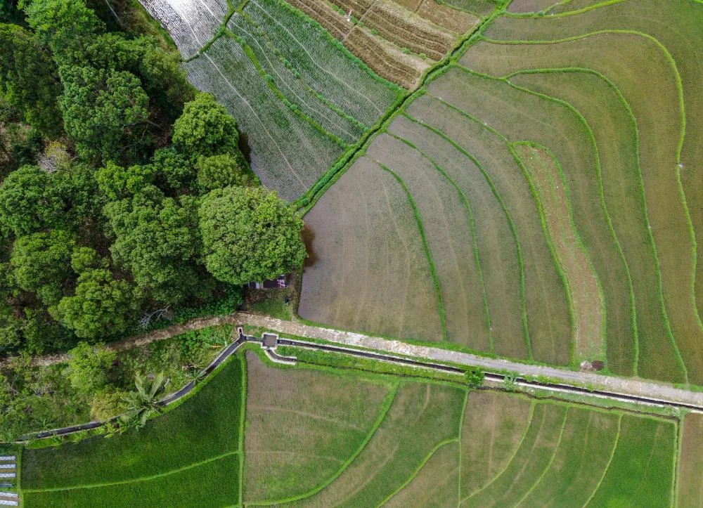 Referência nacional: CAR paulista inspira modernização do licenciamento no Brasil