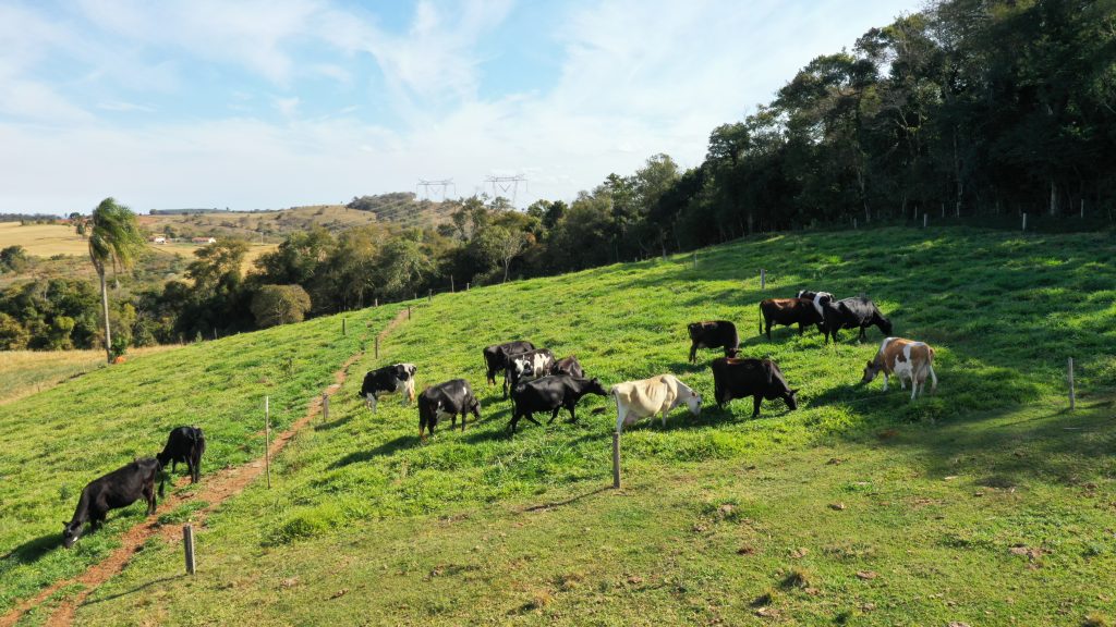 CATI relança programa CATI Leite e promove eventos técnicos de Cacau e Frutas Vermelhas na Expo Rio Preto e Intertech 2025