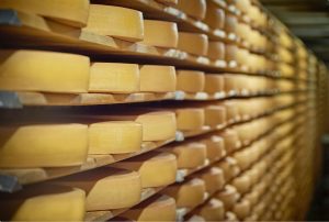 Governo de São Paulo lança a Rota do Queijo Paulista e abre inscrições para produtores