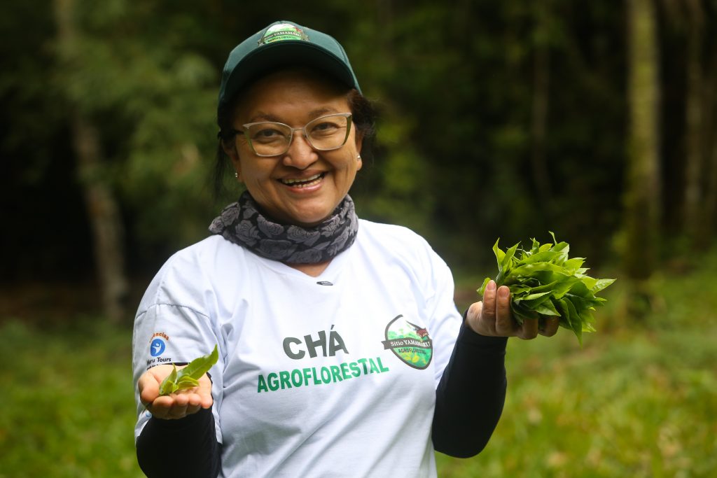 São Paulo fortalece turismo rural por meio de programas da Secretaria de Agricultura