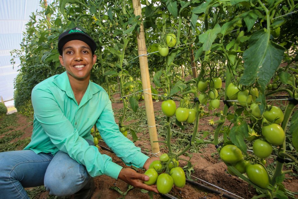R$ 36 milhões: Governo de SP amplia linhas de crédito para fortalecer produtores rurais paulistas