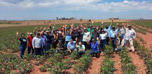 1° Seminário Nacional da Mandioca debate principais temas da produção em Rosana