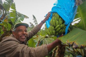 São Paulo bate recorde de R$ 50 milhões em compras da agricultura familiar