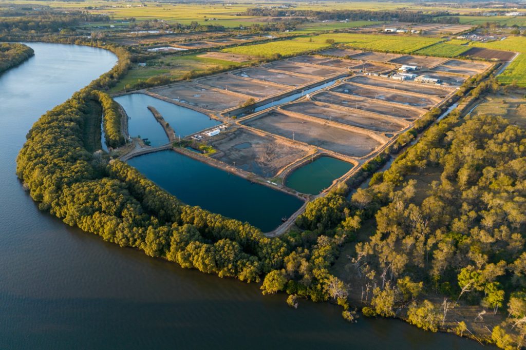  Dia Mundial da Aquicultura: o papel do Instituto de Pesca no desenvolvimento sustentável da atividade