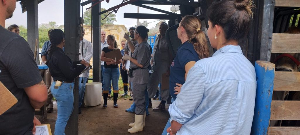 Instituto de Zootecnia sedia  XXXV Treinamento em métodos de diagnóstico e controle da brucelose e tuberculose animal