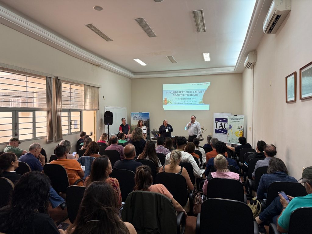 Curso do IAC-Apta destaca oportunidades e inovações no mercado de óleos essenciais