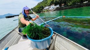 Instituto de Pesca lança campanha para preservação das áreas de maricultura em Ubatuba