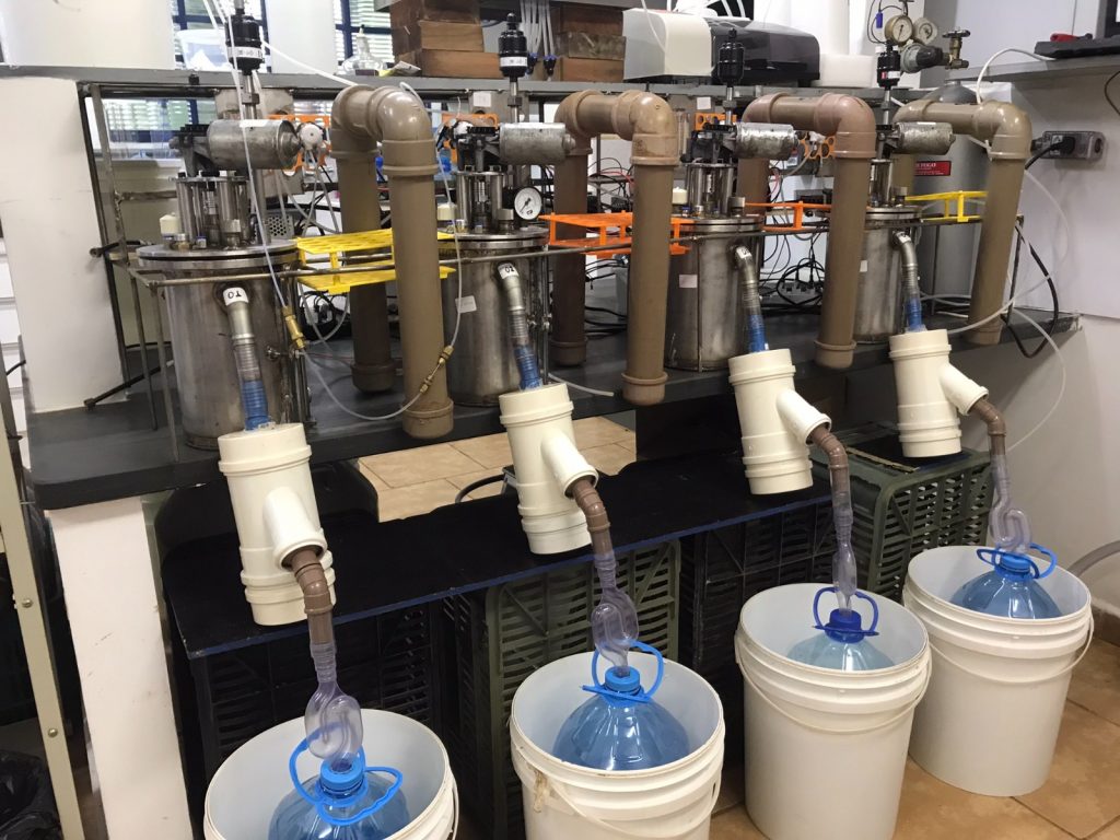 IZ desenvolve sistema inovador para mensuração de metano e avaliação da fermentação ruminal