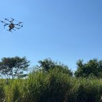 Evento da Apta Regional reunirá especialistas para discutir inovação na restauração ecológica no Noroeste Paulista