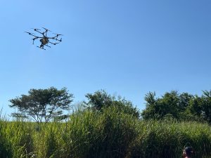 Evento da Apta Regional reunirá especialistas para discutir inovação na restauração ecológica no Noroeste Paulista