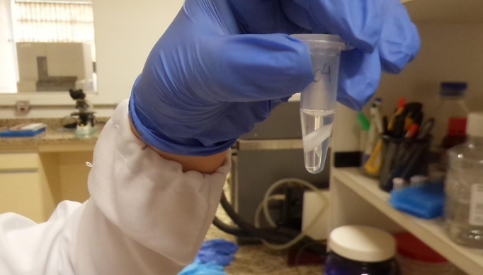 Secretaria de Agricultura de SP contribui com pesquisa e inovação no fornecimento de leite A2