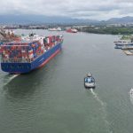 Agro paulista fecha 2025 com superávit de US$23 bilhões