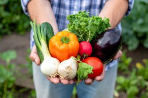 Governo de SP fortalece agricultura familiar e PPAIS cresce mais de 150% em 2025