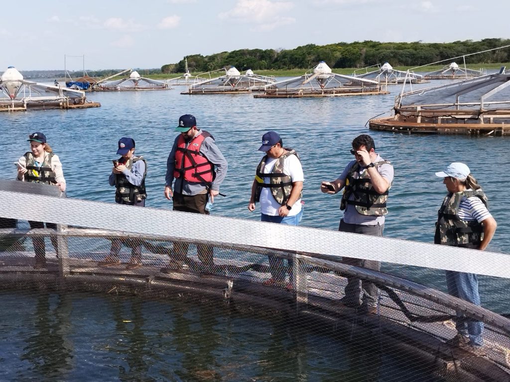 Instituto de Pesca avalia o uso de tanques-rede de grande volume na piscicultura continental