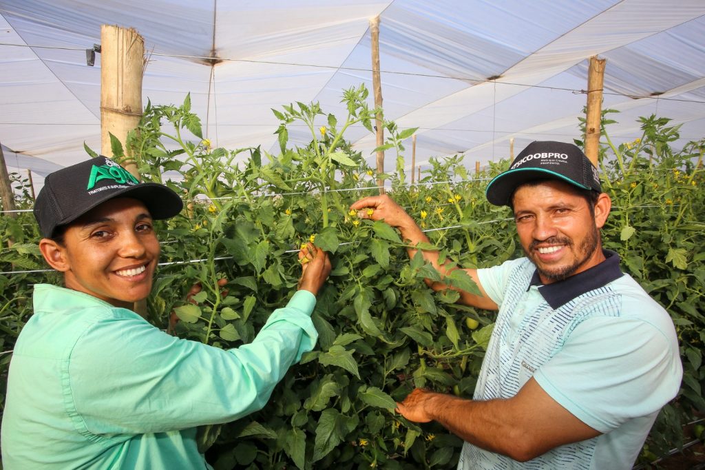 SP garante R$ 829 milhões em crédito e apoio ao agro e fortalece mais de 42 mil produtores rurais em três anos