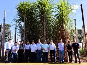Secretário de Agricultura e Abastecimento realiza visita técnica ao Centro de Cana do IAC