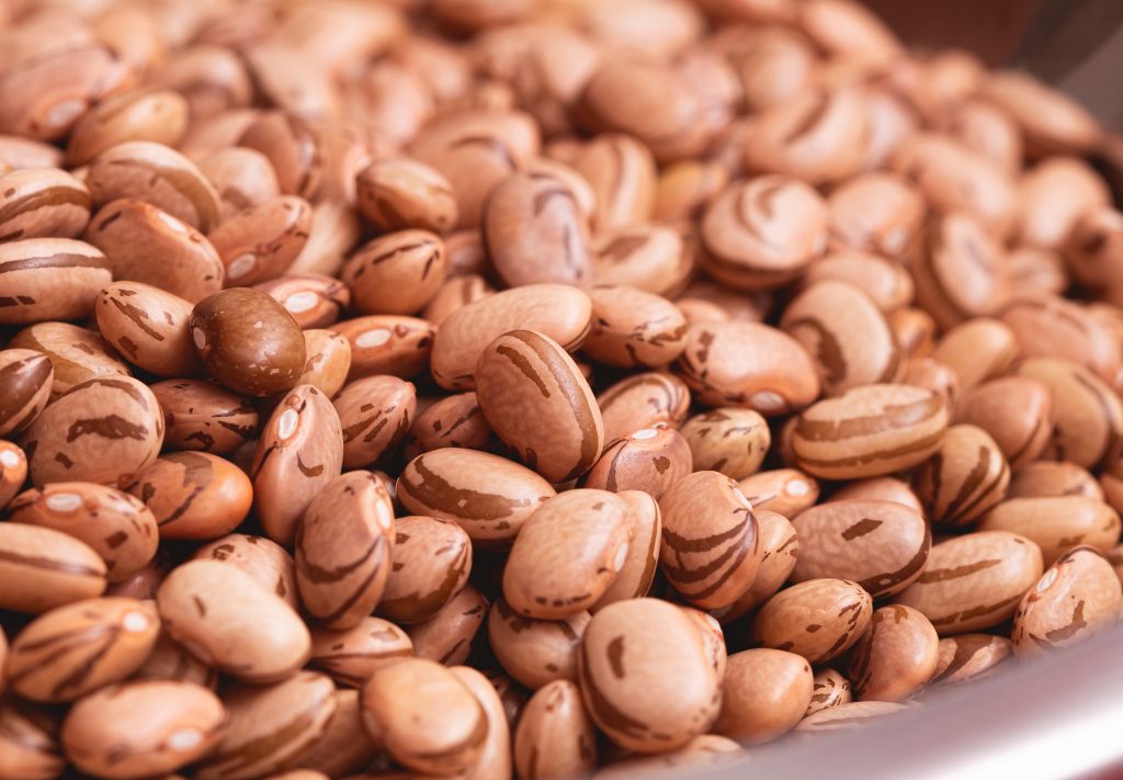 Feijão “carioca”, um legado da ciência paulista que completa 60 anos