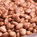 Feijão “carioca”, um legado da ciência paulista que completa 60 anos