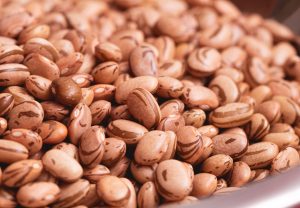 Feijão “carioca”, um legado da ciência paulista que completa 60 anos