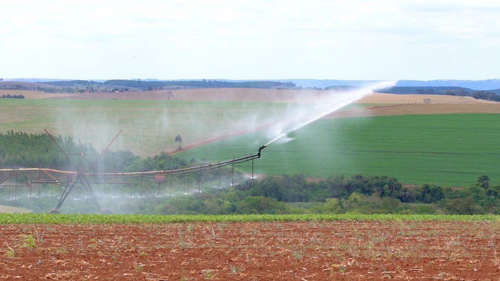 Governo de SP chega a R$ 56 milhões investidos em irrigação sustentável