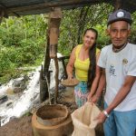 Café extraordinário: Casal de produtores de Barra do Turvo produz o melhor café do Estado
