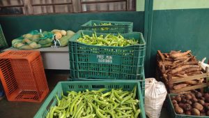 Municípios paulistas começam a receber cestas da 5ª fase do PAA para distribuição a famílias em situação de vulnerabilidade