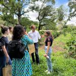Grupo francês realiza visitas técnicas às unidades da APTA para conhecer pesquisas e desafios do agro brasileiro
