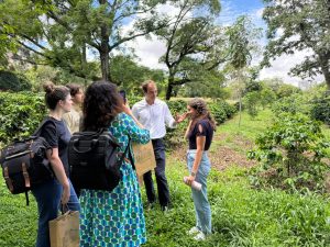 Grupo francês realiza visitas técnicas às unidades da APTA para conhecer pesquisas e desafios do agro brasileiro