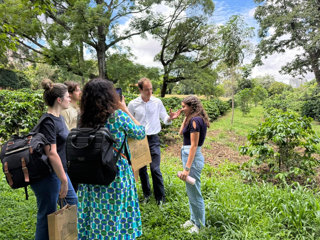 Grupo francês realiza visitas técnicas às unidades da APTA para conhecer pesquisas e desafios do agro brasileiro