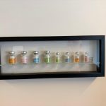 Laboratório do Instituto Biológico recebe visita do Ministério de Ciência, Tecnologia e Inovação (MCTI) em busca de referências