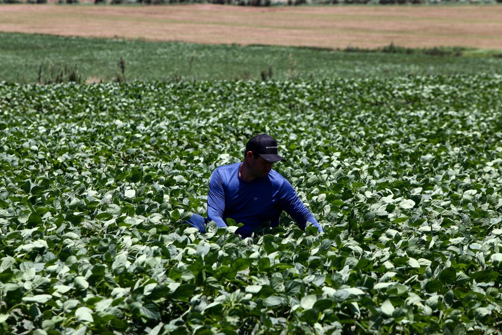 Governo de SP envia à Alesp projeto que fortalece Fundo do Agronegócio