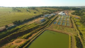 Aquicultura e recursos hídricos: Instituto de Pesca destaca importância da água para produção sustentável de alimentos