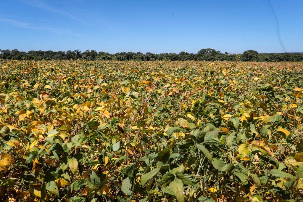 Outono 2026 traz contrastes de calor, frio e chuvas no Estado de São Paulo