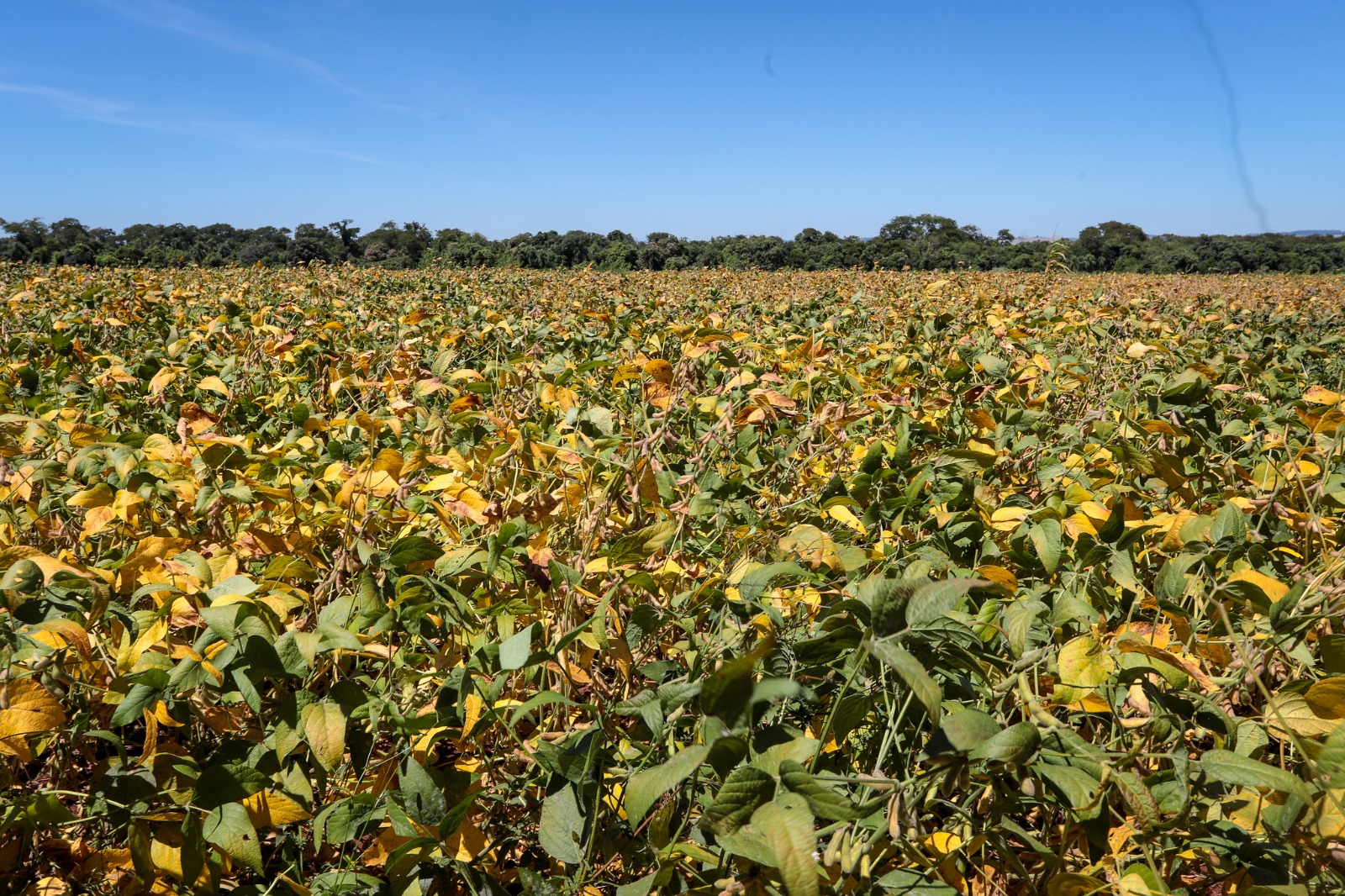 Outono 2026 traz contrastes de calor, frio e chuvas no Estado de São Paulo