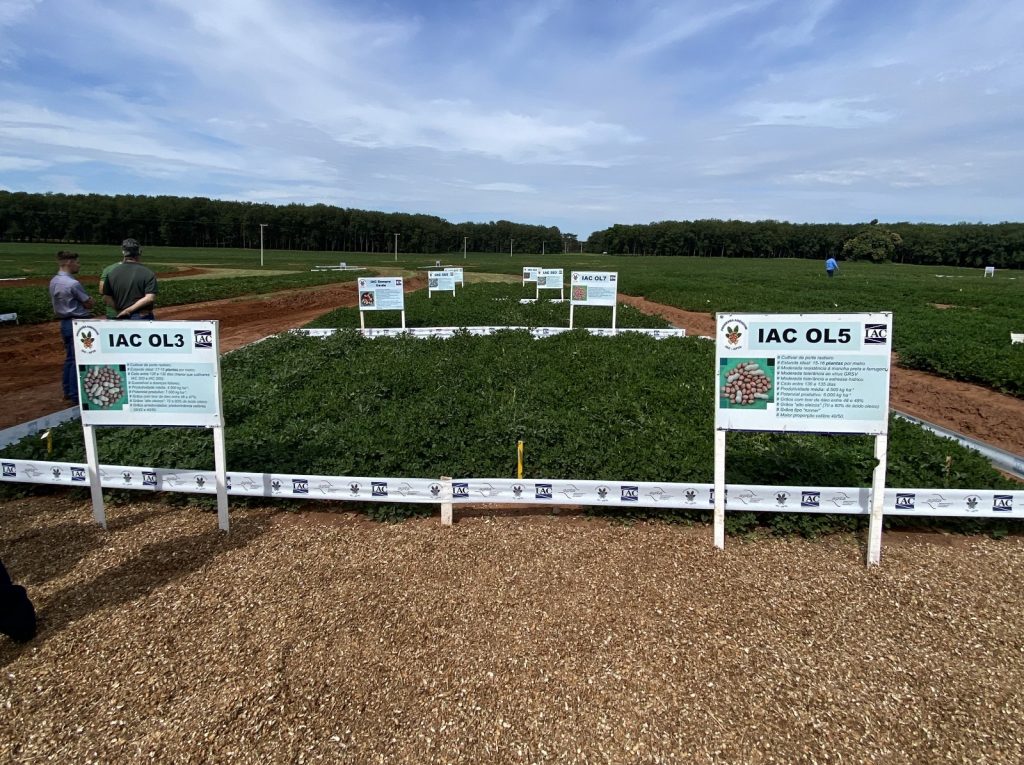 Apta Regional de Pindorama sediará 17º Encontro de Produtores de Amendoim no dia 4 de março