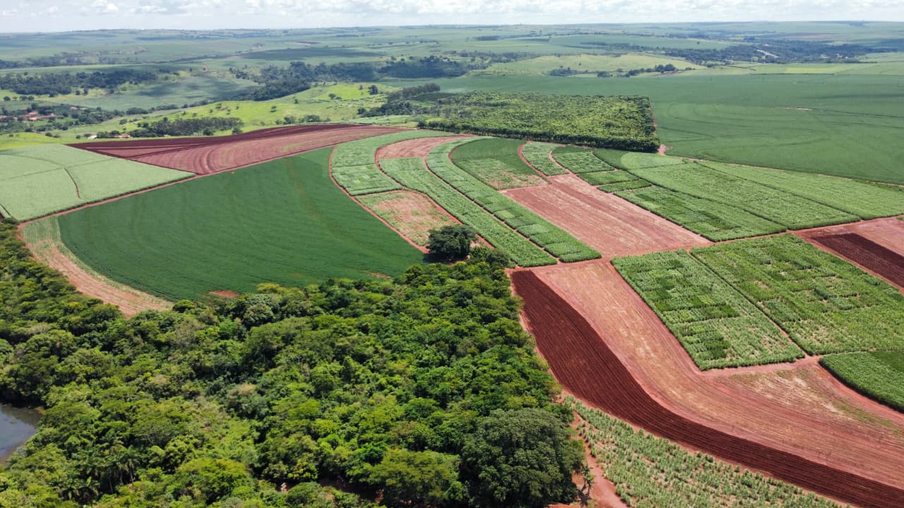 IAC recomenda estratégias de manejo na cana para aumento da produtividade agroindustrial