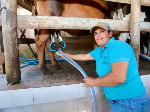 Dia Internacional da Mulher: Produtoras representam 43,2% dos acessos a crédito rural em SP