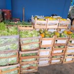 Governo de SP amplia distribuição de alimentos e avança em entregas aos municípios paulistas