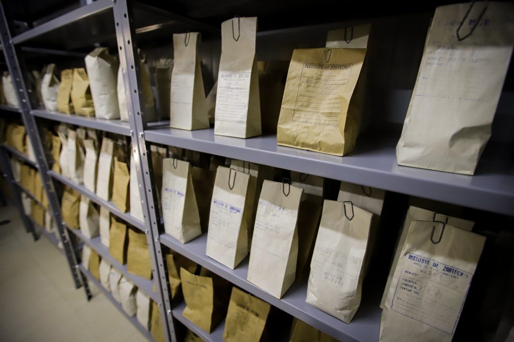 Guardando a diversidade da vida: como os bancos de germoplasma impulsionam a agricultura paulista