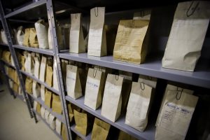 Guardando a diversidade da vida: como os bancos de germoplasma impulsionam a agricultura paulista