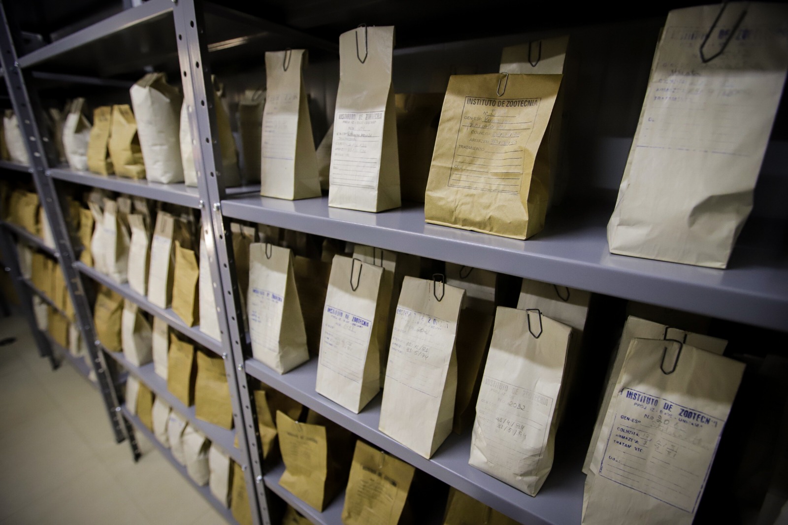 Guardando a diversidade da vida: como os bancos de germoplasma impulsionam a agricultura paulista