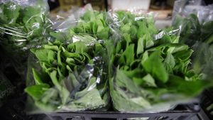 São Paulo regulamenta sistema estadual de inspeção de produtos de origem vegetal e fortalece a segurança alimentar