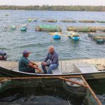 Alesp aprova projeto que fortalece fundo de apoio a pequenos e médios produtores rurais