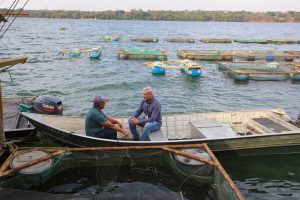 Alesp aprova projeto que fortalece fundo de apoio a pequenos e médios produtores rurais