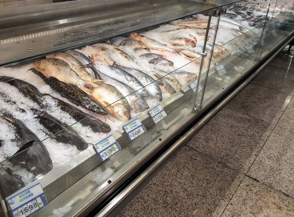 Páscoa impulsiona consumo de peixes e pesquisa da APTA Regional revela como famílias escolhem o pescado