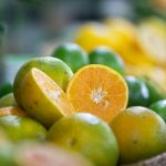 Centro de Citricultura impulsiona estratégia e inovação em meio à nova fase da citricultura brasileira