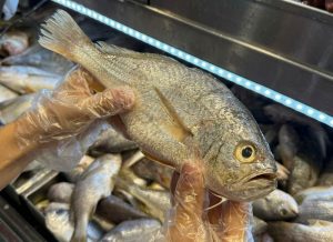 Você sabe identificar peixe fresco? Especialistas dão dicas para não errar na compra