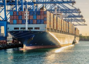 Caminho das Índias: Agro paulista movimenta mais de US$900 milhões com mercado indiano em 2025