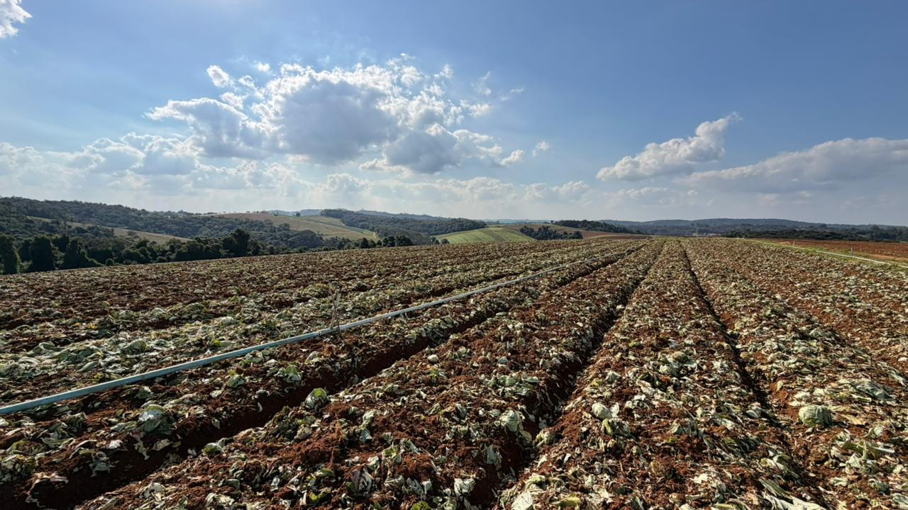 Governo de SP libera 5 milhões para produtores afetados pelas chuvas em Ibiúna e Piedade